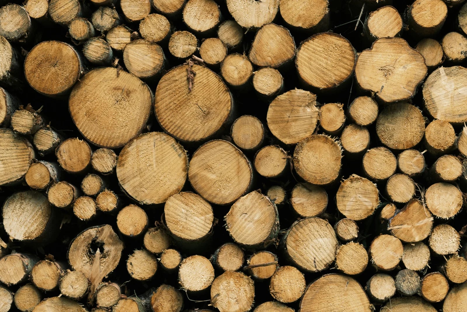Bois brut empilé, illustration du matériau bois